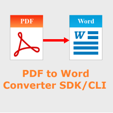 PDF to Word Converter SDK/CLI
