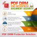 PDF DRM Protector Solution for Business