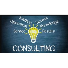 PDF Consulting Services
